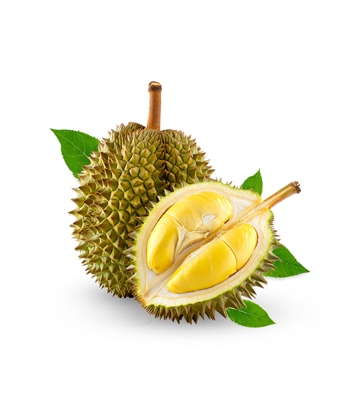 vg-vaf-ff-8.jpg Durian Whole – Bild 1